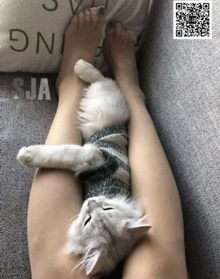 东京干手机福利_BD高清在线观看
